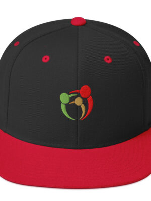 Snapback Hat